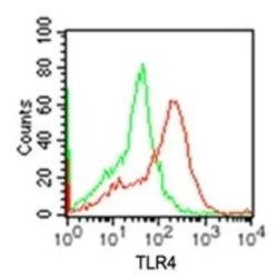 Invitrogen TLR4 Polyclonal Antibody 100 &mu;g; Unconjugated:Antibodies,