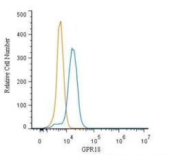 Invitrogen GPR18 Polyclonal Antibody 100 &mu;g | Buy Online | Invitrogen&trade; | Fisher Scientific