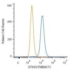 Invitrogen STING Polyclonal Antibody 100 &mu;g; Unconjugated:Antibodies,
