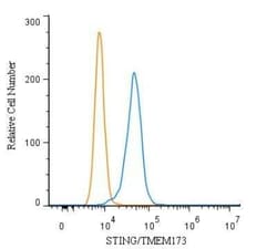 Invitrogen STING Polyclonal Antibody 100 &mu;g; Unconjugated:Antibodies,