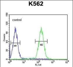 Invitrogen LCE2B Polyclonal Antibody 400 &mu;L; Unconjugated:Antibodies,