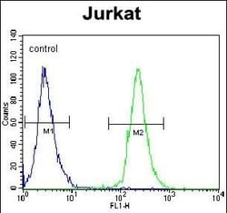 Invitrogen POTEB Polyclonal Antibody 400 &mu;L; Unconjugated:Antibodies,