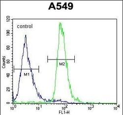 Invitrogen ALOX12B Polyclonal Antibody 400 &mu;L; Unconjugated:Antibodies,