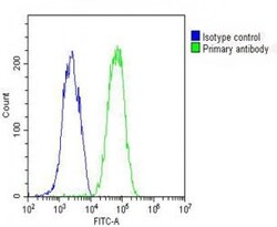 Invitrogen Fetuin A Polyclonal Antibody 400 μL; Unconjugated:Antibodies,