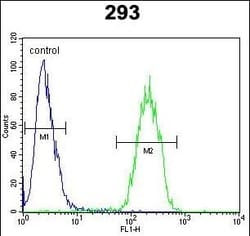 Invitrogen DcR3 Polyclonal Antibody 400 &mu;L; Unconjugated:Antibodies,