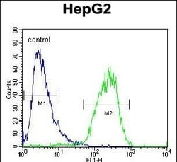 Invitrogen CHPT1 Polyclonal Antibody 400 &mu;L; Unconjugated:Antibodies,