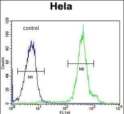 Invitrogen FUS Polyclonal Antibody 400 &mu;L; Unconjugated:Antibodies,