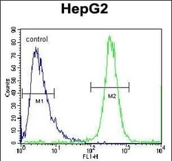 Invitrogen FBXO2 Polyclonal Antibody 400 &mu;L; Unconjugated:Antibodies,