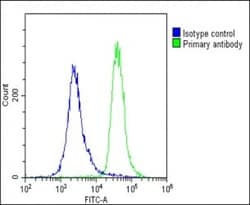 Invitrogen METTL4 Polyclonal Antibody 200 &mu;L; Unconjugated:Antibodies,