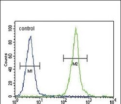Invitrogen Claudin 16 Polyclonal Antibody 400 &mu;L; Unconjugated:Antibodies,