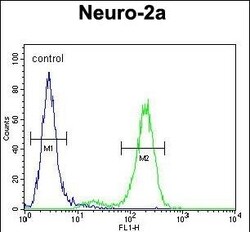 DDX11 Polyclonal Antibody:Antibodies, Polyclonal
