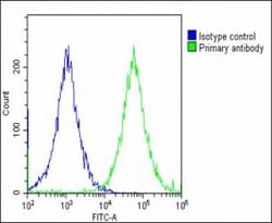 Invitrogen IGF2BP1 Polyclonal Antibody 400 &mu;L; Unconjugated:Antibodies,