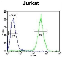 Invitrogen CD162 Polyclonal Antibody 400 &mu;L; Unconjugated:Antibodies,