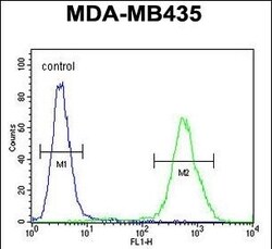 Invitrogen EXO5 Polyclonal Antibody 400 &mu;L; Unconjugated:Antibodies,