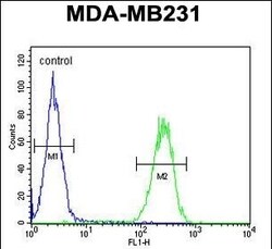 Invitrogen PRSS3 Polyclonal Antibody 400 &mu;L; Unconjugated:Antibodies,