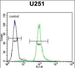 Vitrin Polyclonal Antibody:Antibodies, Polyclonal