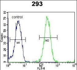 ZNF780A Polyclonal Antibody:Antibodies, Polyclonal