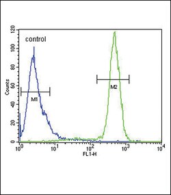 Invitrogen SCN1B Polyclonal Antibody 400 &mu;L; Unconjugated:Antibodies,