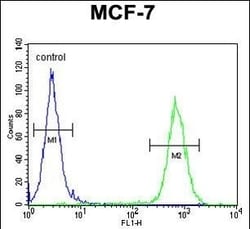 Invitrogen RICH2 Polyclonal Antibody 400 &mu;L; Unconjugated:Antibodies,