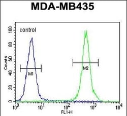 Invitrogen Haptoglobin Polyclonal Antibody 400 &mu;L; Unconjugated:Antibodies,