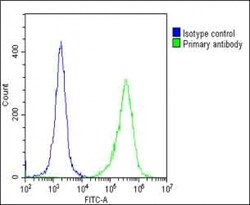 Invitrogen Folate Receptor alpha Polyclonal Antibody 400 &mu;L | Buy Online | Invitrogen&trade; | Fisher Scientific