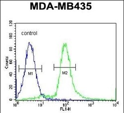 ARHGAP10 Polyclonal Antibody:Antibodies, Polyclonal
