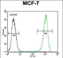 Bcl-10 Polyclonal Antibody:Antibodies, Polyclonal