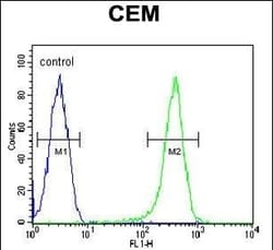 Invitrogen COX10 Polyclonal Antibody 400 &mu;L; Unconjugated:Antibodies,