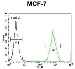 GPD1L Polyclonal Antibody:Antibodies, Polyclonal