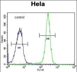 HYAL2 Polyclonal Antibody:Antibodies, Polyclonal