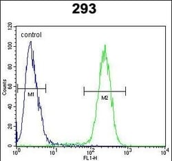 Invitrogen TMEM66 Polyclonal Antibody 400 &mu;L; Unconjugated:Antibodies,