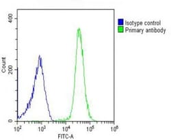 Invitrogen GSDMC Polyclonal Antibody 400 μL; Unconjugated:Antibodies,