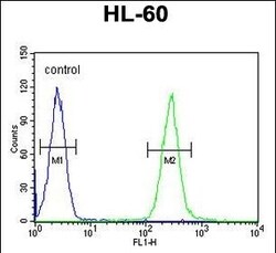 Invitrogen TCL6 Polyclonal Antibody 400 &mu;L; Unconjugated:Antibodies,