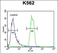 Invitrogen OR2M3 Polyclonal Antibody 400 &mu;L; Unconjugated:Antibodies,