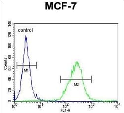 Invitrogen OR6C4 Polyclonal Antibody 400 &mu;L | Buy Online | Invitrogen&trade; | Fisher Scientific