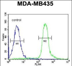Invitrogen VPS52 Polyclonal Antibody 400 &mu;L | Buy Online | Invitrogen&trade; | Fisher Scientific