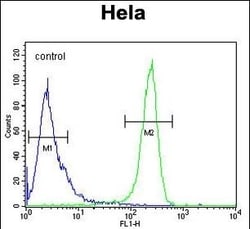 Invitrogen DTL Polyclonal Antibody 400 μL; Unconjugated:Antibodies,