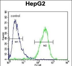 Invitrogen ZC3H12A Polyclonal Antibody 400 &mu;L; Unconjugated:Antibodies,