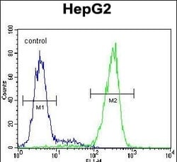Invitrogen NUDT15 Polyclonal Antibody 400 &mu;L; Unconjugated:Antibodies,
