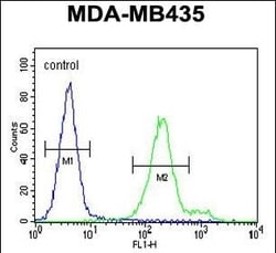 Invitrogen OR6V1 Polyclonal Antibody 400 &mu;L; Unconjugated:Antibodies,