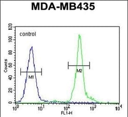 Invitrogen GFRAL Polyclonal Antibody 200 &mu;L; Unconjugated:Antibodies,