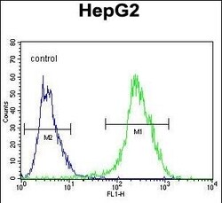 Invitrogen NR0B2 Polyclonal Antibody 400 &mu;L; Unconjugated:Antibodies,