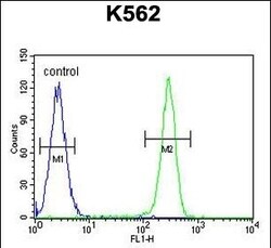 Invitrogen OX40L Polyclonal Antibody 400 μL; Unconjugated:Antibodies,