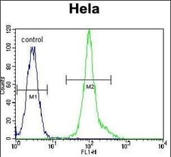 Invitrogen LCK Polyclonal Antibody 400 &mu;L; Unconjugated:Antibodies,