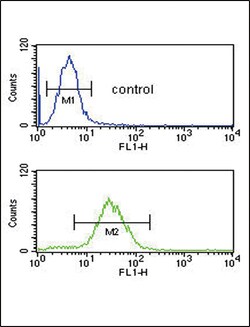 Invitrogen Cofilin Polyclonal Antibody 400 &mu;L; Unconjugated:Antibodies,