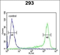 Invitrogen PRDX6 Polyclonal Antibody 400 &mu;L; Unconjugated:Antibodies,