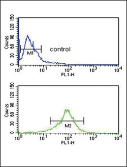 Invitrogen GOT1 Polyclonal Antibody 400 &mu;L; Unconjugated:Antibodies,