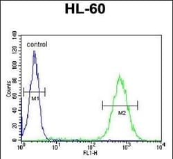 Invitrogen BHLHB5 Polyclonal Antibody 400 &mu;L; Unconjugated:Antibodies,