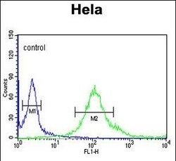 Invitrogen SYTL2 Polyclonal Antibody 400 &mu;L; Unconjugated:Antibodies,