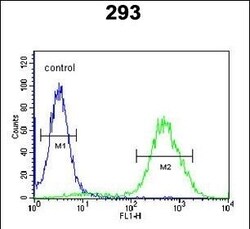 Invitrogen CCR1 Polyclonal Antibody 400 &mu;L; Unconjugated:Anticuerpos